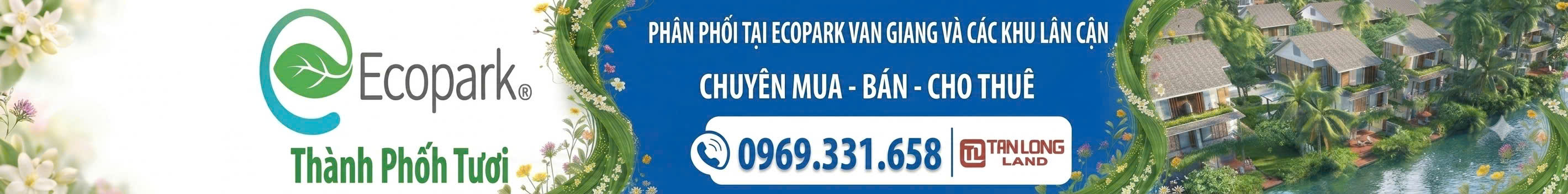 Ảnh trên đầu